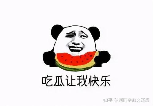 吃瓜开心文案短句,吃瓜文案短句精选集