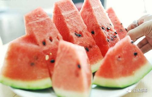 交院东区吃瓜,吃瓜群众的热闹聚集地