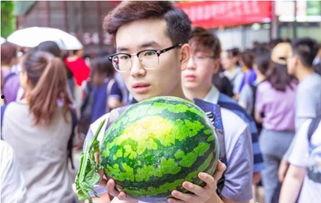 周山学校吃瓜,揭秘校园里的“瓜田”风云