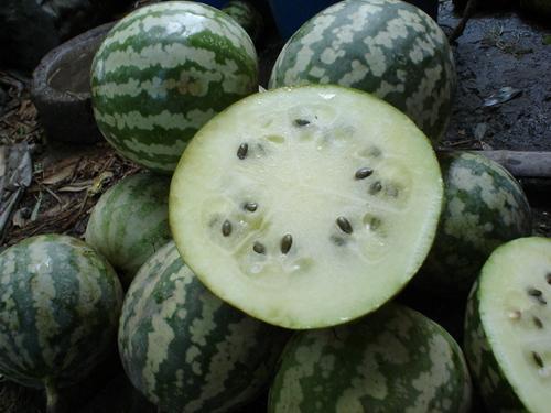 怀孕可以吃绿宝瓜吗,绿宝瓜的适宜食用与营养益处