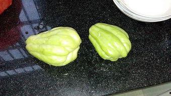 吃兔子瓜削皮吗,兔子瓜削皮技巧与食用指南