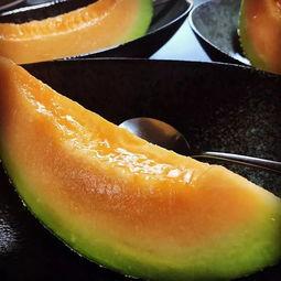 韩国农民吃瓜,西瓜种植与享用记