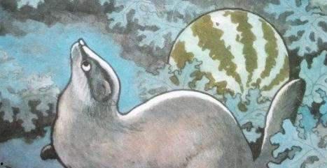 猹为什么吃瓜,揭秘猹为何偏爱这一美味