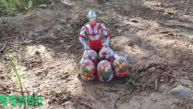 奥特曼吃大瓜,揭秘宇宙美食大瓜