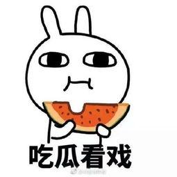 年轻网友吃瓜有错,娱乐至上的时代，我们该如何看待“吃瓜”行为？