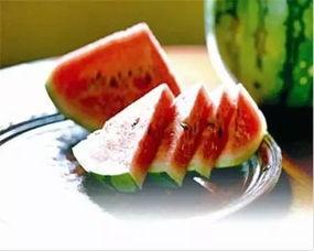 海珠湖北吃瓜,瓜田里的夏日风情