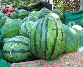 吃瓜大老七,网络红人的崛起与影响力