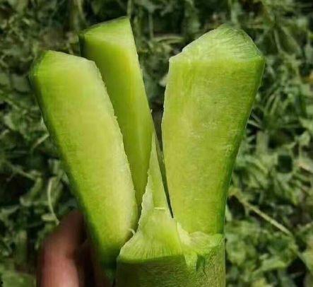 水果沙瓤瓜怎么吃减肥,轻松享受水果美味，健康瘦身两不误