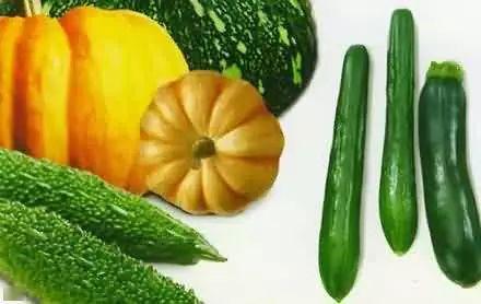 吃瓜真言,吃瓜真言背后的真相与内幕