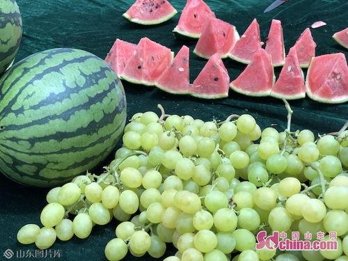 山东吃瓜大妈,揭秘民间美食背后的故事