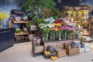 爱神花店老板吃瓜,爱神花店老板的瓜田奇遇记