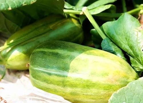 瓜做着吃,跟随“根据瓜做着吃”的烹饪之旅