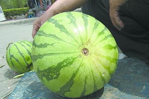 圆圆吃瓜方法,轻松解锁夏日消暑新姿势