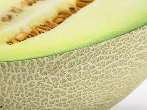 吃甜瓤的瓜,揭秘吃甜瓤瓜的奇妙体验