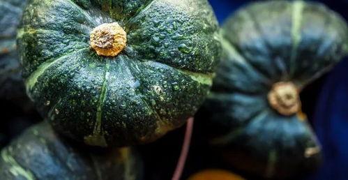 轻化工吃瓜,瓜分市场，创新驱动发展新篇章