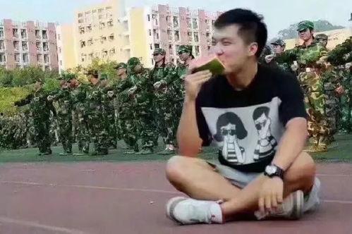 吃瓜群众李狗蛋,揭秘娱乐圈背后的故事