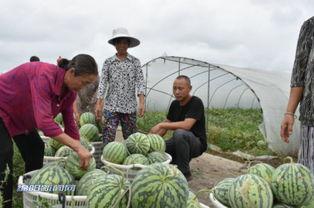 吃瓜群吃瓜群众曹县,揭秘吃瓜群众的狂欢盛宴