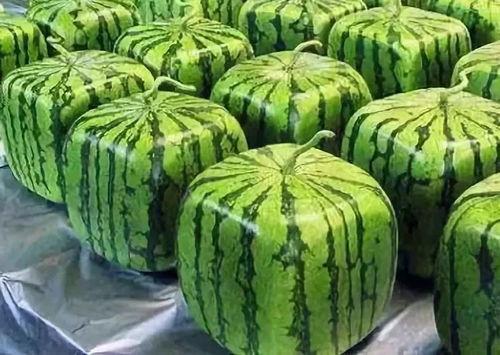 吃瓜的由来和含义