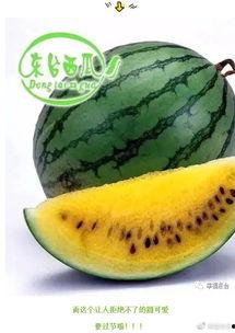 吃瓜请方糖,甜蜜背后的秘密