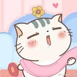 小贱猫土豆君吃瓜,趣味横生的喵星生活